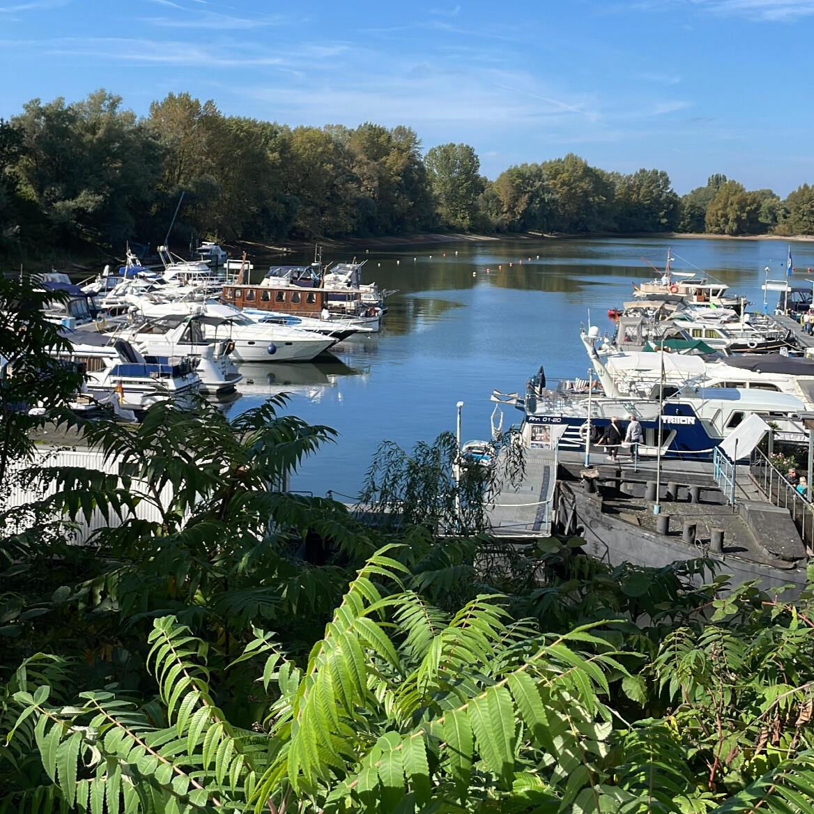 Crefelder Yacht Club Bild vom Crefelder Yacht Club